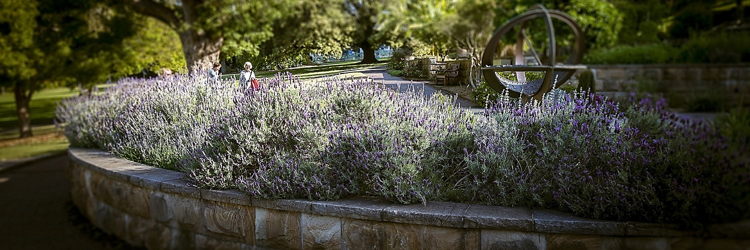 Coaching und Online-Coaching für D-A-CH und Südtirol